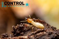 Termite Control Melbourne image 2